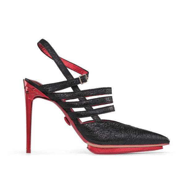 Bird of Paradise Terenz Nero Bird of Paradise Terenz Nero