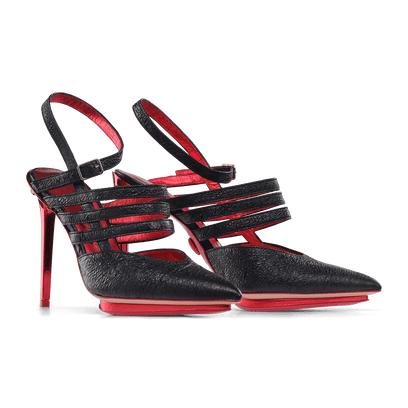 Bird of Paradise Terenz Nero